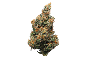 Proper Cannabis - Prepack - Memory Loss - Indica Dominant - [28g] by Proper Cannabis