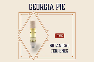 Elevate - Vaporizer - Georgia Pie - [1g] by Elevate Missouri