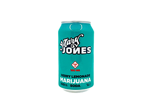 Berry Lemonade Soda by Mary Jones