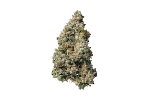 Proper Cannabis - Prepack - Black Maple 22 - Indica Dominant - [28g] by Proper Cannabis