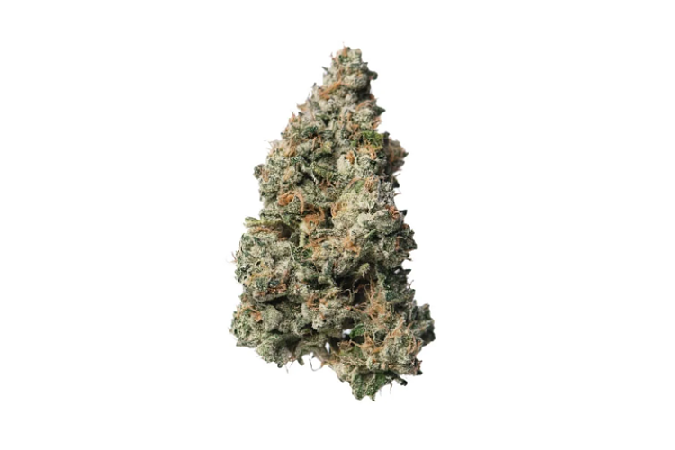 Proper Cannabis - Prepack - Black Maple 22 - Indica Dominant - [28g] by Proper Cannabis