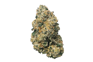 Proper Cannabis - Prepack - Sherbanger 22 - Indica Dominant - [14g] by Proper Cannabis