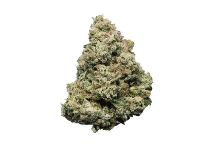 Proper Cannabis - Prepack - Blank Check #5 - [14g] by Proper Cannabis