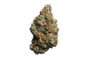 Proper Cannabis - Prepack - Biscotti - Indica Dominant - [3.5g] by Proper Cannabis