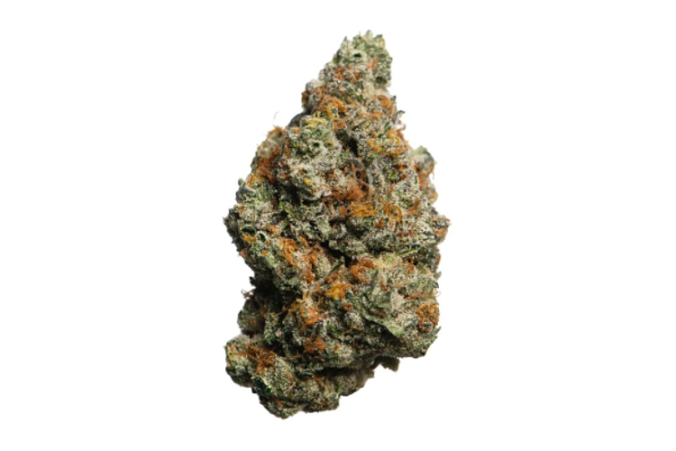 Proper Cannabis - Prepack - Biscotti - Indica Dominant - [3.5g] by Proper Cannabis