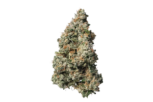Proper Cannabis - Prepack - Black Maple 22 - Indica Dominant - [7g] Small Buds by Proper Cannabis