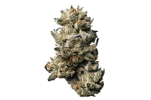 Proper Cannabis - Prepack - Oreoz - Hybrid - [7g] Small Buds by Proper Cannabis
