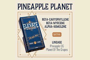 Elevate - Pre-rolls - Pineapple Planet - Multipack [5g] by Elevate Missouri