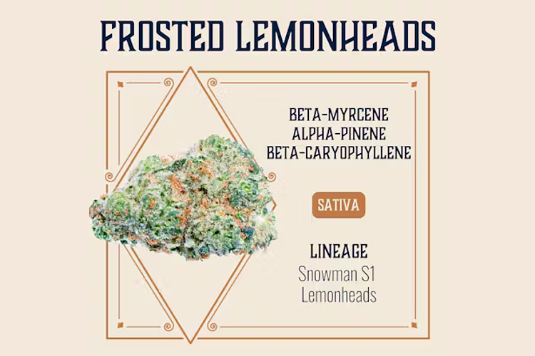 Elevate Missouri - Prepack - Frosted Lemonheads- [3.5g] by Elevate Missouri