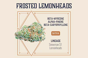 Elevate Missouri - Prepack - Frosted Lemonheads- [3.5g] by Elevate Missouri