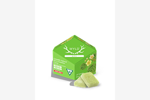 Kiwi Gummies by Wyld