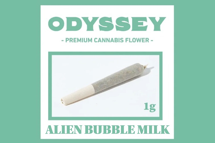 Odyssey - Pre-roll - Grape Mountain Bordello - Indica Dominant - [1g] by Odyssey