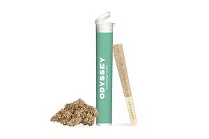 Odyssey - Pre-Roll - Premium Blend - Sativa - [1g] by Odyssey