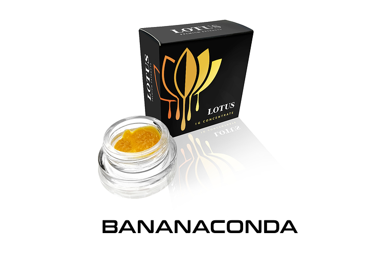 Lotus - Live Badder - Bananaconda - Sativa - [1g] by Lotus