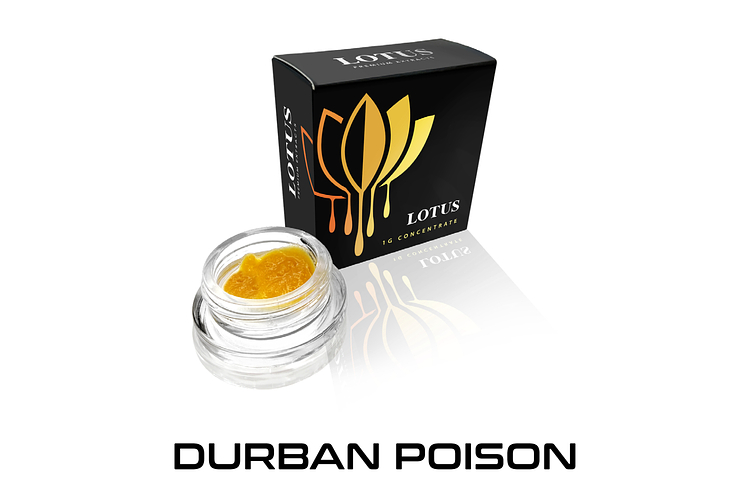 Lotus - Live Resin - Durban Poison - Sativa - [1g] by Lotus