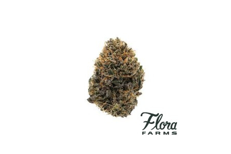 Flora Farms - Prepack - Lemon Berry candy - Hybrid - [3.5g] by Flora Farms