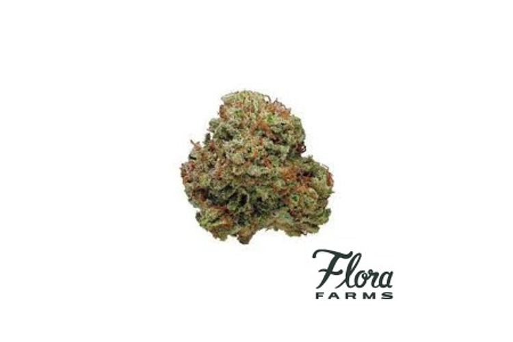 Flora Farms - Prepack - Lemon OG Haze - Sativa - [3.5g] by Flora Farms