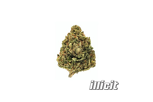 Illicit - Prepack - SFV OG - Indica Doninant - [3.5g] by Illicit