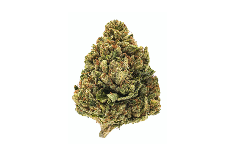 Illicit - Prepack - SFV OG Popcorn - Indica Dominant - [3.5g] by Illicit