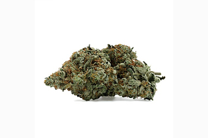 Illicit - Prepack - Lemon Tree Punch - Hybrid - [1g] by Illicit