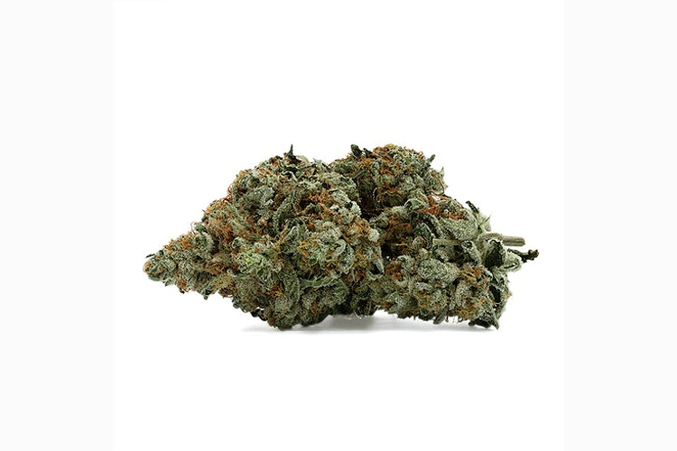 Illicit - Prepack - Ghost OG - Indica Dominant - [7g] by Illicit