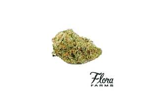 Flora Farms - Prepack - Magic Pineapple Gelato - Hybrid - [3.5g] by Flora Farms