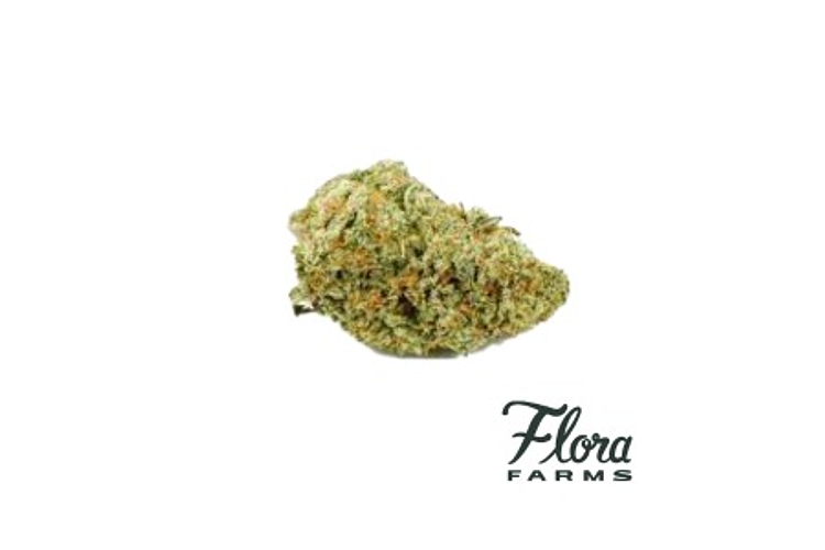 Flora Farms - Prepack - Magic Pineapple Gelato - Hybrid - [3.5g] by Flora Farms