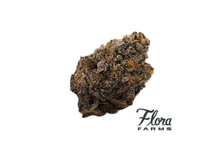 Flora Farms - Prepack - Blackout Truffle - Indica - [3.5g] by Flora Farms