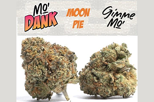 Mo'Dank - Prepack - Moon Pie - Indica Dominant - [3.5g] by Mo'Dank