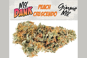 Mo'Dank - Prepack - Peach Crescendo - Indica Dominant - [3.5g] by Mo'Dank