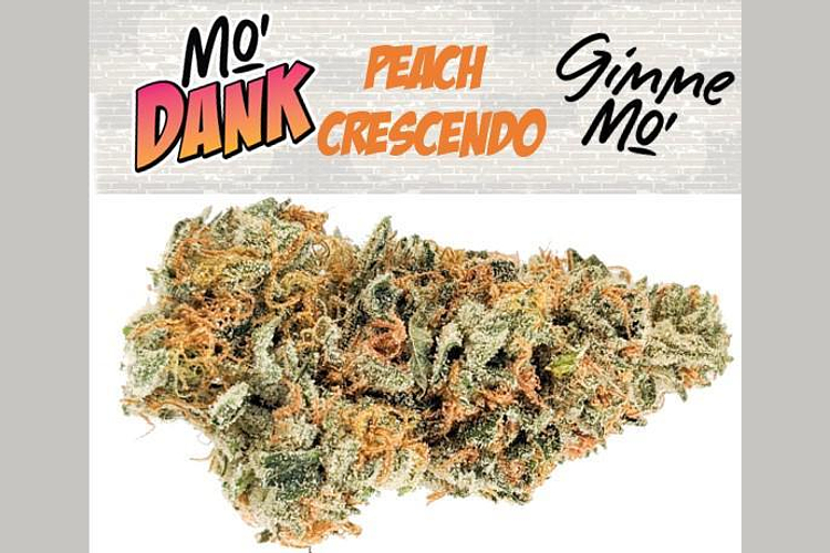 Mo'Dank - Prepack - Peach Crescendo - Indica Dominant - [3.5g] by Mo'Dank