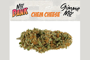 Mo'Dank - Prepack - Chem Cheese - Hybrid - [3.5g] by Mo'Dank