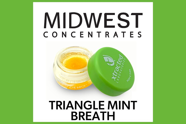 Midwest Concentrates - Live Resin - Triangle Mint Breath - Sativa - [1g] by Midwest Concentrates