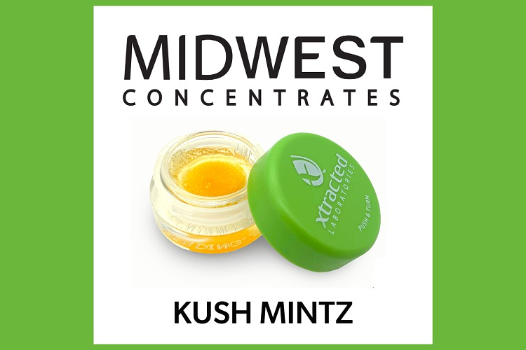 Midwest Concentrates - Live Resin - Kush Mintz - Hybrid - [1g] by Midwest Concentrates