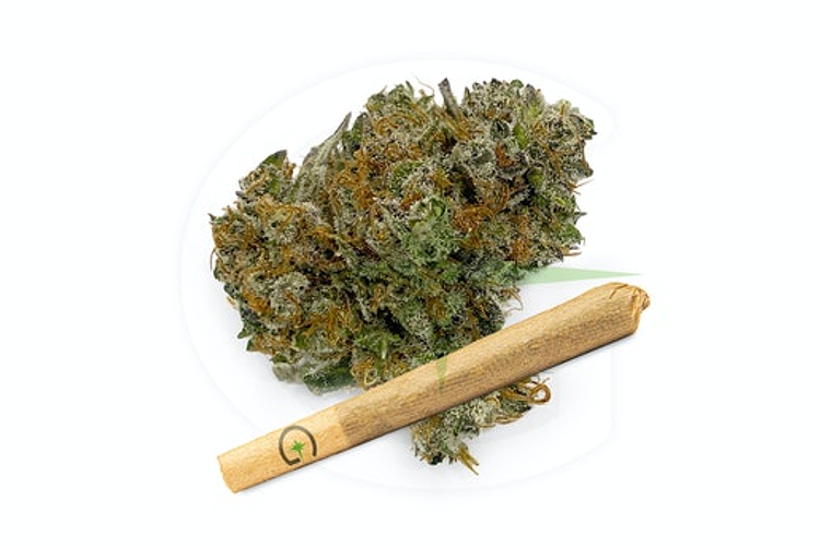 Greenlight - Pre-roll - Wedding Pie - Hybrid - [1g] by Greenlight