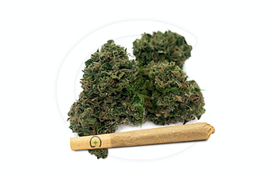 Greenlight - Pre-roll - DosiLato - Indica - [1g] by Greenlight