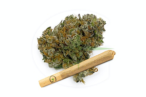 Greenlight - Pre-roll - Superglue - Indica - [1g] by Greenlight