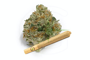 Greenlight - Pre-roll - Sour Grape - Hybrid - [1g] by Greenlight