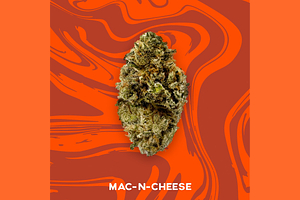 Vivid - Prepack - Mac n' Cheese - Hybrid - [3.5g] by Vivid