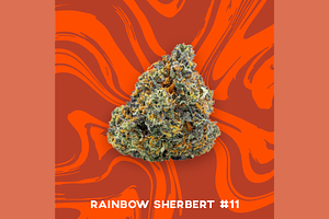 Vivid - Prepack - Rainbow Sherbert #11 - Hybrid - [3.5g] by Vivid