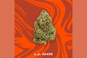 Vivid - Pre-roll - LA Baker - Hybrid - [.75g] by Vivid