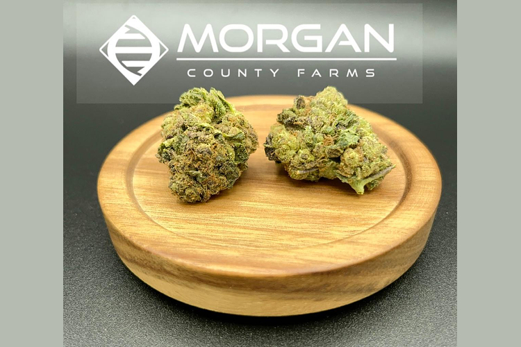 Morgan County - Prepack - Raspberry Driver - Hybrid - [7g] by Morgan County