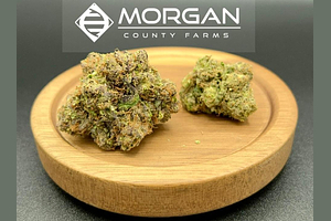 Morgan County - Prepack - Blueberry Splitter - Indica - [7g] by Morgan County