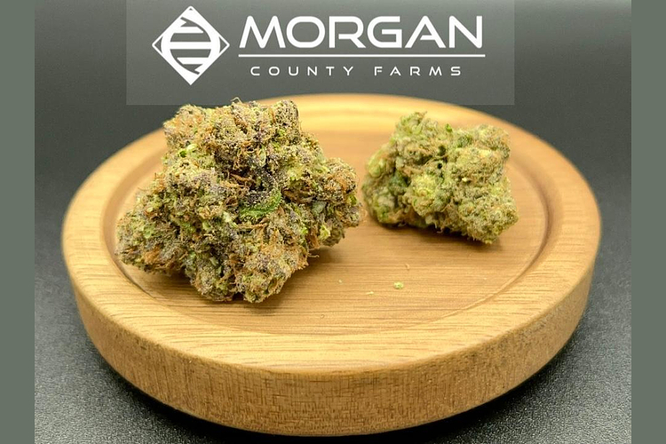 Morgan County - Prepack - Blueberry Splitter - Indica - [1g] by Morgan County