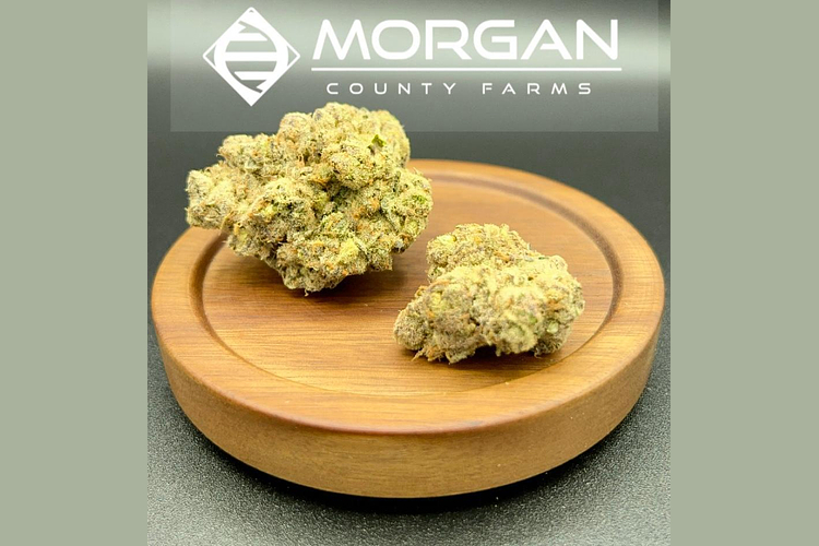 Morgan County - Prepack - Lemon Granite - Sativa Dominant - [3.5g] by Morgan County