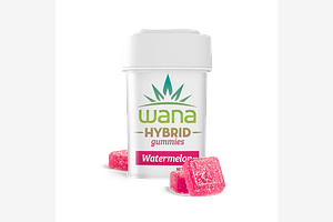 Watermelon Gummies by Wana
