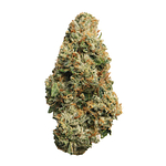 Proper Cannabis - Prepack - Louis Xlll - Indica Dominant - [7g] Small Buds by Proper Cannabis