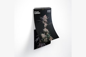 Proper Calendar 2025 by Proper Brands