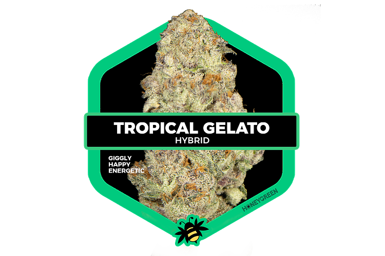 Honey Green - Trop Gelato - 3.5g by Honey Green