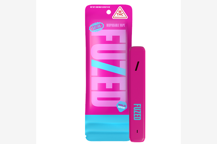 Curio Wellness - Fuzed Disposable - Wild Raspberry - 1g by Fuzed
